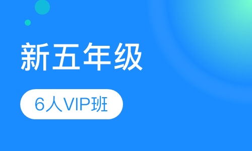 新五年级6人精品VIP班