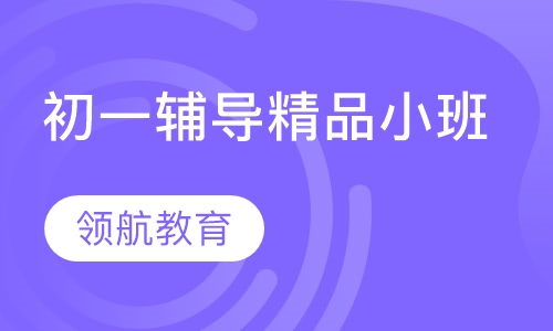 初一辅导精品小班