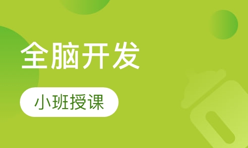 全脑开发