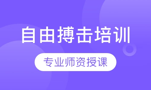自由搏击培训