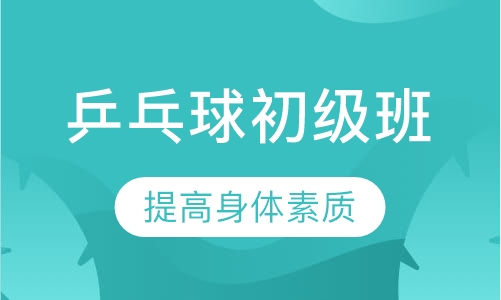 乒乓球初级班2人