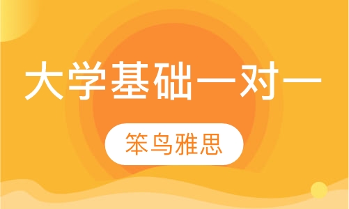 大学基础一对一