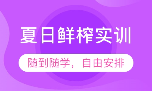 夏日鲜榨实训