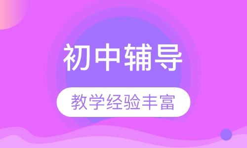 初中辅导