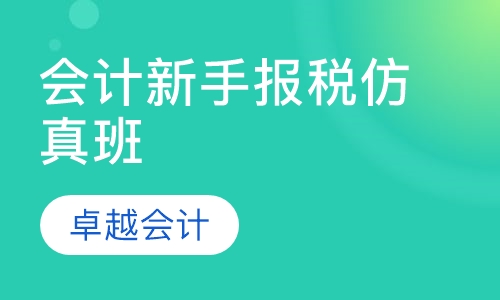 会计新手报税仿真实训课程