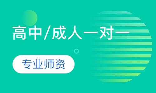 高中/成人一对一