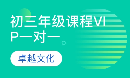 卓越文化初三年级课程VIP一对一