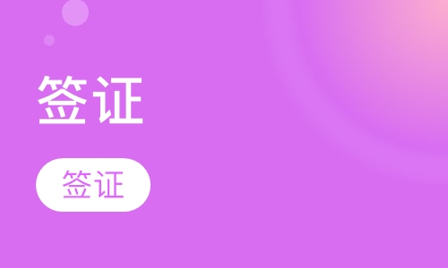 海外衔接签证一对一
