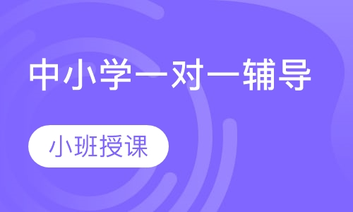 中小学一对一辅导