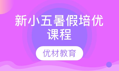 新小五暑假培优课程