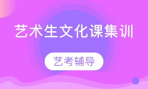 云岩艺术生文化课集训