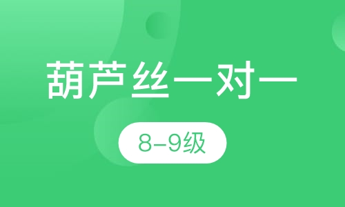 葫芦丝一对一  8-9级