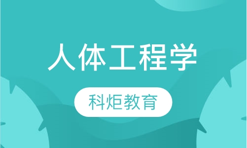 人体工程学