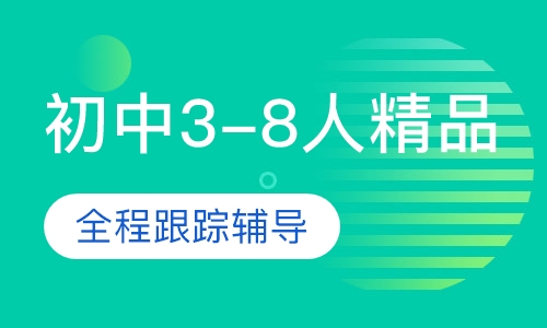 初中3-8人精品班