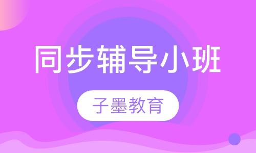 同步辅导小班