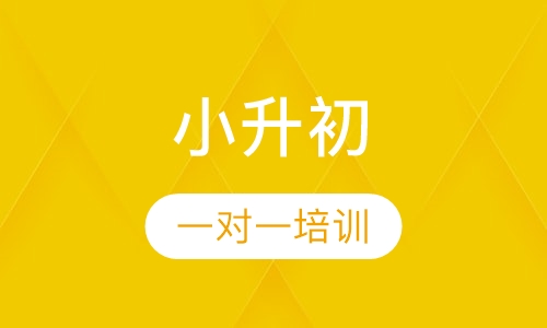 小升初一对一培训
