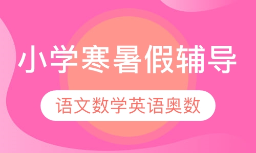 小学寒暑假辅导