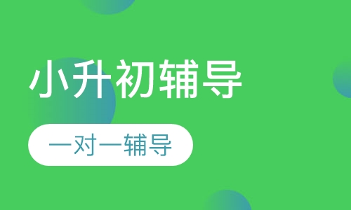 小升初一对一辅导