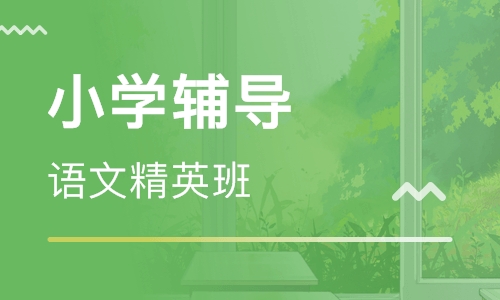 小学语文精英班
