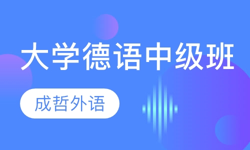 新编大学德语中级班