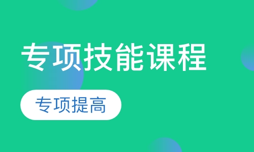 专项技能课程