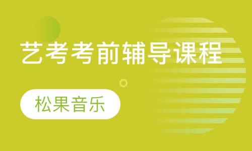 艺考考前辅导课程