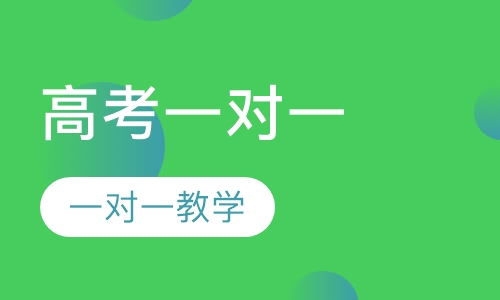 高考一对一辅导