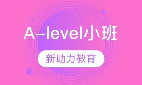 A-level小班
