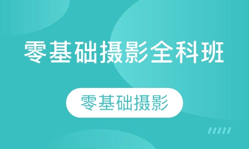 零基础摄影全科班