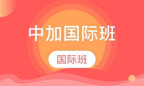 中加国际班