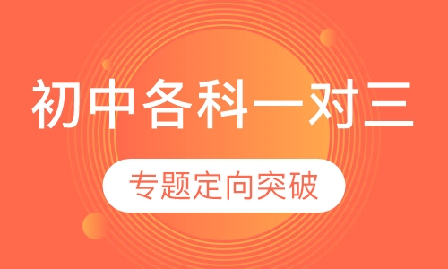 初中各科一对三