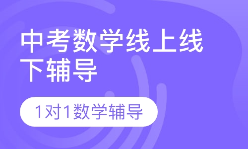中考数学线上线下辅导