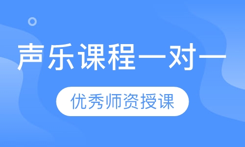 声乐课程一对一
