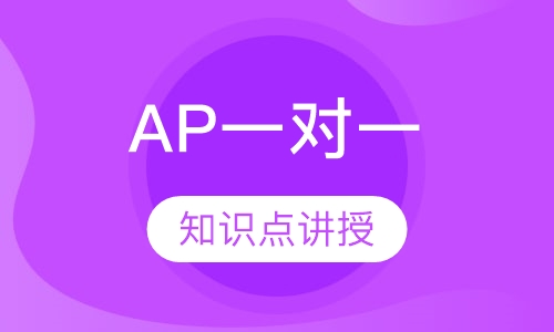 AP一对一