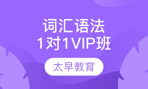 词汇语法一对一VIP班
