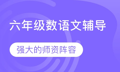 六年级语文辅导
