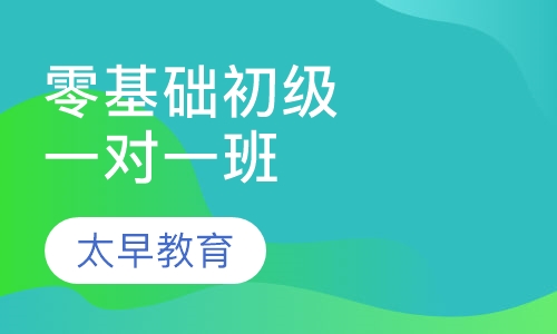零基础初级班一对一VIP班