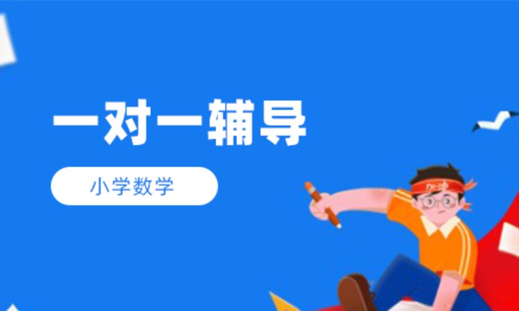 小学数学1对1辅导