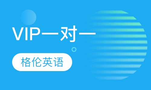 VIP一对一