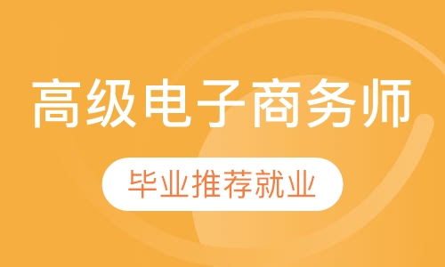 高级电子商务师