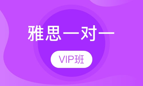 雅思一对一vip班