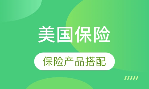 美国保险