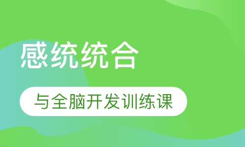 感统统合与全脑开发训练课程
