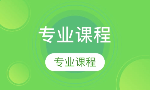 海外衔接专业课程一对一