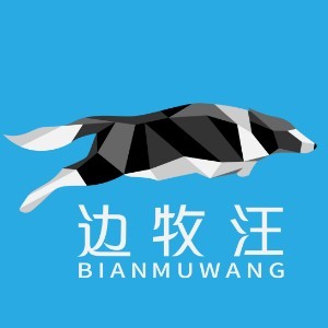 边牧汪