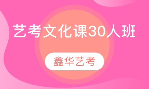 艺术生文化课30人班