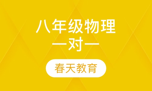 八年级(初二)物理一对一辅导课程