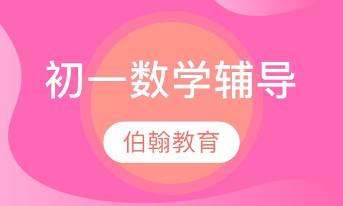 初一数学辅导