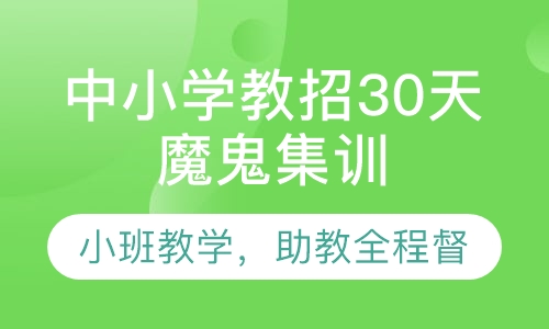 中小学教招30天魔鬼集训营