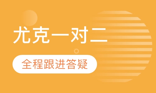 尤克里里一对二